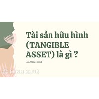 Tài sản hữu hình (TANGIBLE ASSET) là gì ?