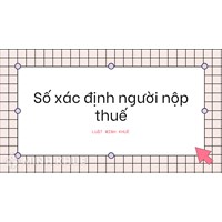 Số xác định người nộp thuế (TAXPAYER IDENTIFICATION NUMBER - TIN) là gì ?