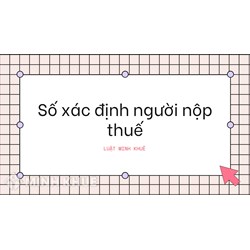 Số xác định người nộp thuế (TAXPAYER IDENTIFICATION NUMBER - TIN) là gì ?