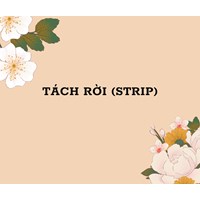 Tách rời (STRIP) là gì ?