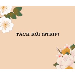 Tách rời (STRIP) là gì ?