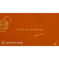 Tổ chức mục đích đặc thù (SPECIAL-PURPOSE VEHICLE - SPV) là gì ?