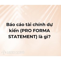 Báo cáo tài chính dự kiến (PRO FORMA STATEMENT) là gì ?