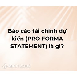 Báo cáo tài chính dự kiến (PRO FORMA STATEMENT) là gì ?