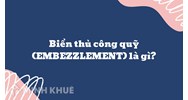 Biển thủ công quỹ (EMBEZZLEMENT) là gì ?