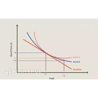 Độ lồi (CONVEXITY) là gì ?