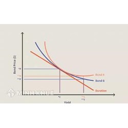 Độ lồi (CONVEXITY) là gì ?