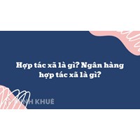Hợp tác xã là gì? Ngân hàng hợp tác xã là gì?