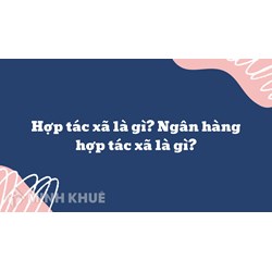Hợp tác xã là gì? Ngân hàng hợp tác xã là gì?