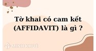 Tờ khai có cam kết (AFFIDAVIT) là gì? Có nội dung, vai trò gì?