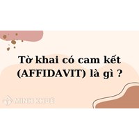 Tờ khai có cam kết (AFFIDAVIT) là gì? Có nội dung, vai trò gì?