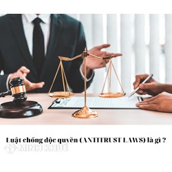 Luật chống độc quyền (ANTITRUST LAWS) là gì?