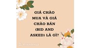 Giá chào mua và giá chào bán (BID AND ASKED) là gì ?