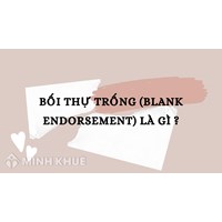 Bối thự trống là gì? Blank Endorsement nghĩa là gì?