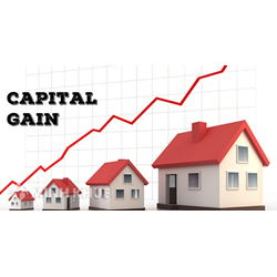 Lợi nhuận đầu tư vốn hay lỗ đầu tư vốn là gì?