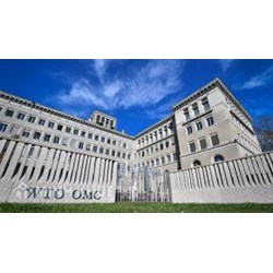 Chức năng Chủ yếu Giải quyết Tranh chấp của WTO theo nhận thức ban đầu