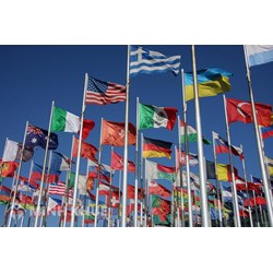 Vai trò của Cơ quan phúc thẩm trong việc hoàn thiện các Hiệp định của WTO 