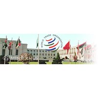 Làm sao để biết Cơ quan Phúc thẩm WTO đã vượt quá giới hạn không gian chiến lược của nó ?