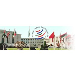Làm sao để biết Cơ quan Phúc thẩm WTO đã vượt quá giới hạn không gian chiến lược của nó ?