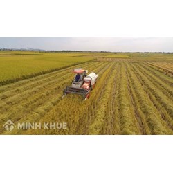 Sự ra đời của Hiệp định về nông nghiệp trong thương mại quốc tế