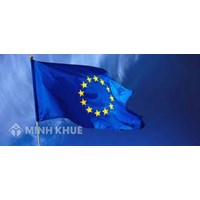 Hiệp định về khu vực kinh tế Châu Âu (EEA) và quan hệ giữa EFTA và nước thứ ba