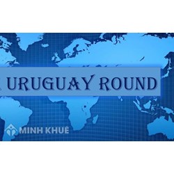 Phân tích những kết quả chưa đạt được tại vòng đàm phán Uruguay ?