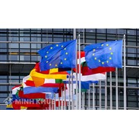 Kinh nghiệm áp dụng biện pháp tự vệ thương mại của Liên minh châu Âu (EU)