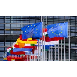 Kinh nghiệm áp dụng biện pháp tự vệ thương mại của Liên minh châu Âu (EU)