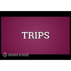 Sự cần thiết phải bảo vệ quyền sở hữu trí tuệ trong hệ thống thương mại quốc tế