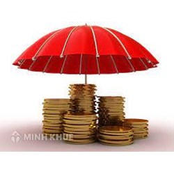Tranh chấp trong hợp đồng thương mại quốc tế có bảo đảm thực hiện hợp đồng vô điều kiện.