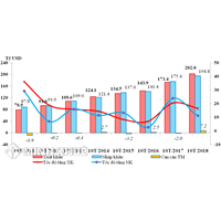 Kim ngạch và tăng trưởng kim ngạch xuất, nhập khẩu hàng hoá của Việt Nam giai đoạn 2008 - 2018