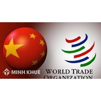 Kết nạp thành viên WTO: Trung Quốc - Một trường hợp đặc biệt ?