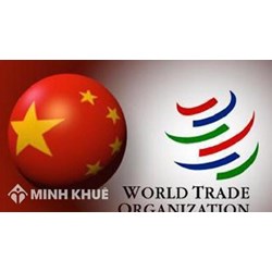 Kết nạp thành viên WTO: Trung Quốc - Một trường hợp đặc biệt ?