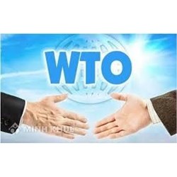 Những nỗ lực của WTO trong việc đáp lại các mối quan tâm của các nước đang phát triển