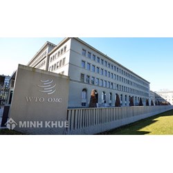 Vai trò của các nhân tố phi nhà nước trong công cuộc cải cách thủ tục và những cải cách trọng yếu của WTO