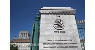 Sự tham gia của các nhân tố phi nhà nước (Doanh nghiệp, tổ chức phi chính phủ...) vào quy trình tư pháp của WTO 