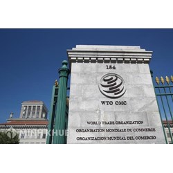 Sự tham gia của các nhân tố phi nhà nước (Doanh nghiệp, tổ chức phi chính phủ...) vào quy trình tư pháp của WTO 