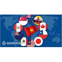 Bối cảnh trong nước Việt Nam và trên quốc tế ảnh hưởng đến áp dụng biện pháp tự vệ thương mại quốc tế 