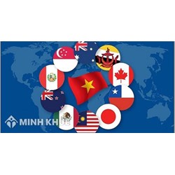 Bối cảnh trong nước Việt Nam và trên quốc tế ảnh hưởng đến áp dụng biện pháp tự vệ thương mại quốc tế 