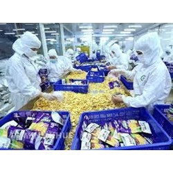 Những trợ cấp đặc biệt đối nông sản chế biến trong khuôn khổ WTO
