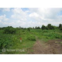 Điều kiện được cấp sổ đỏ đất khai hoang. Mẫu đơn xin xác nhận đất khai hoang