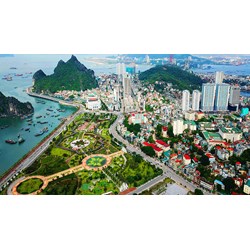 Trường đại học và Li xăng bằng độc quyền sáng chế?