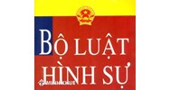 Cấu trúc Bộ luật hình sự đầu tiên của nước Việt Nam (năm 1985) 