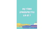 Dự tính (Prospects) là gì ?