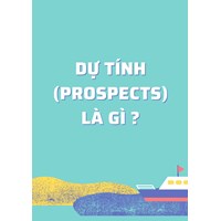 Dự tính (Prospects) là gì ?