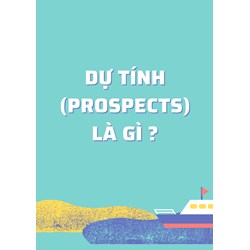 Dự tính (Prospects) là gì ?