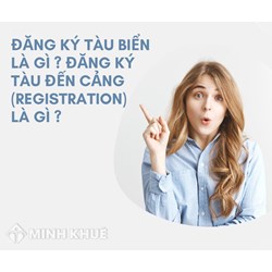 Đăng ký tàu biển là gì? Đăng ký tàu đến cảng (Registration) là gì?