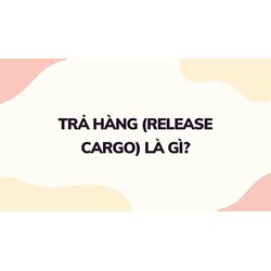 Trả hàng (Release cargo) là gì ?