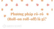 Phương pháp rô-rô (Roll-on roll-off) là gì ?