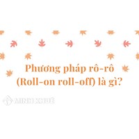 Phương pháp rô-rô (Roll-on roll-off) là gì ?